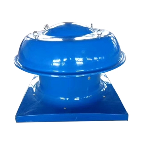 ����S���L�C